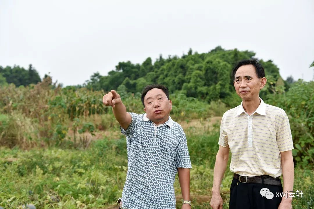 消费者对富硒产品的态度(何为富硒产品)-硒宝网