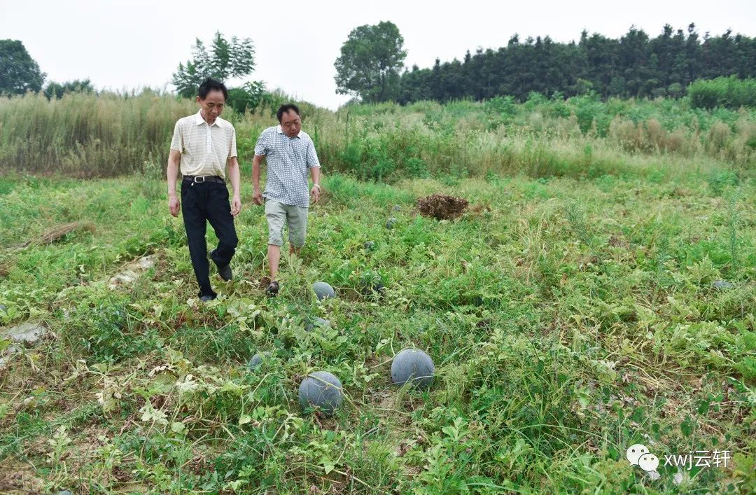 消费者对富硒产品的态度(何为富硒产品)-硒宝网