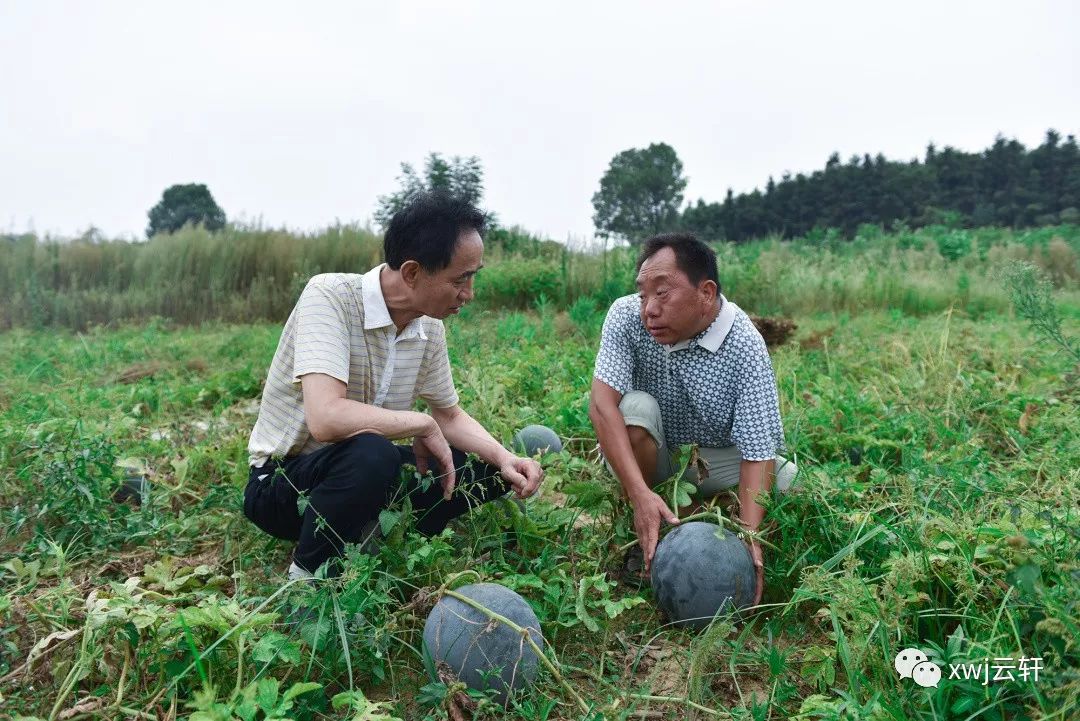消费者对富硒产品的态度(何为富硒产品)-硒宝网