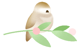 贵州省凤冈县富硒茶产品（贵州三大名茶凤冈锌硒）-硒宝网