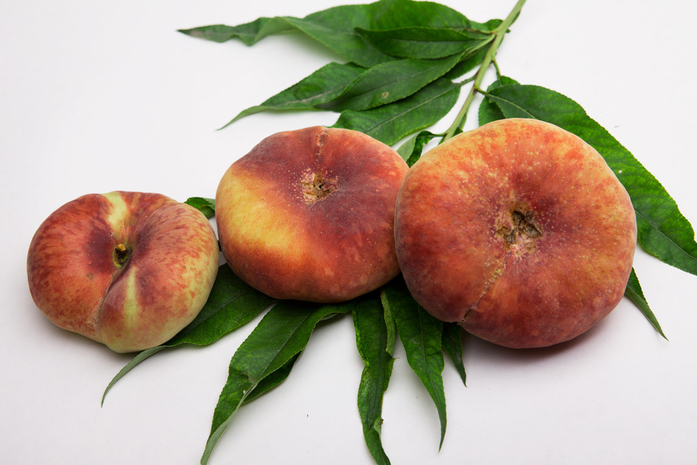 石河子富硒农产品有哪些(石河子特色农产品公司)-硒宝网