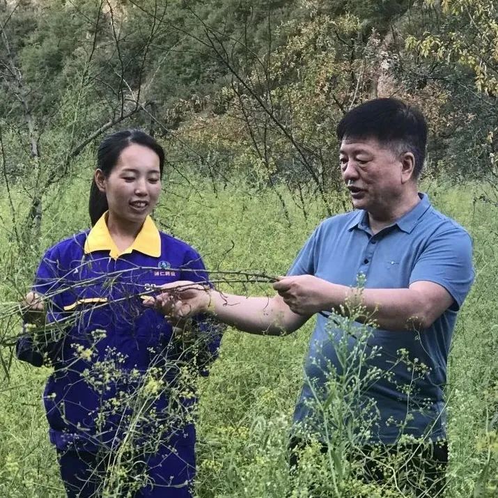 富硒农产品栽培技术研究(富硒种植)-硒宝网