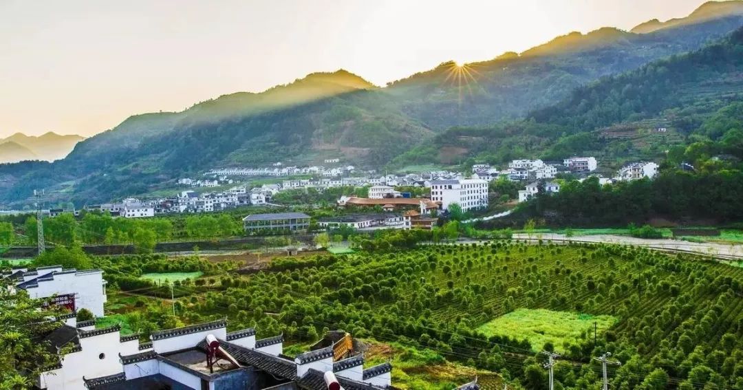 安康富硒土产品有限公司(安康富硒食品有限公司)-硒宝网