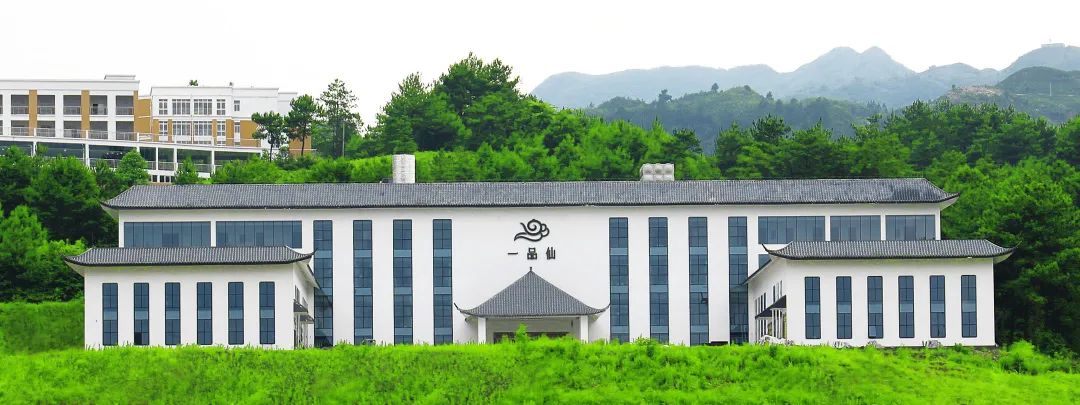 贵州省凤冈县富硒茶产品（贵州富硒茶多少钱一斤）-硒宝网