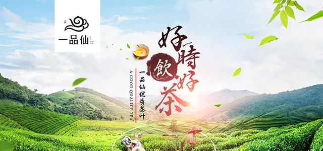 贵州省凤冈县富硒茶产品（贵州富硒茶多少钱一斤）-硒宝网