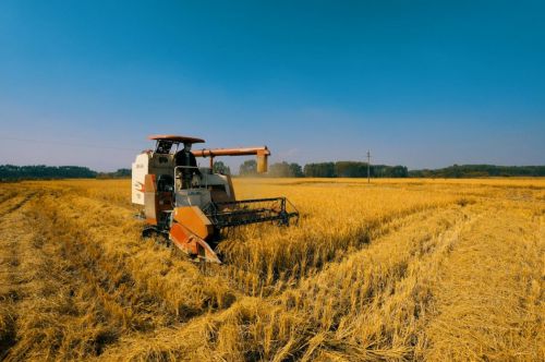 发展富硒农产品最新政策(富硒农业发展)-硒宝网