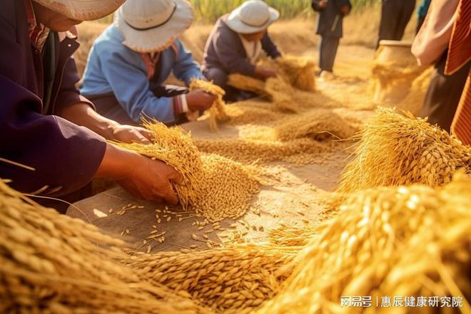 发展富硒农产品最新政策(富硒农业发展)-硒宝网