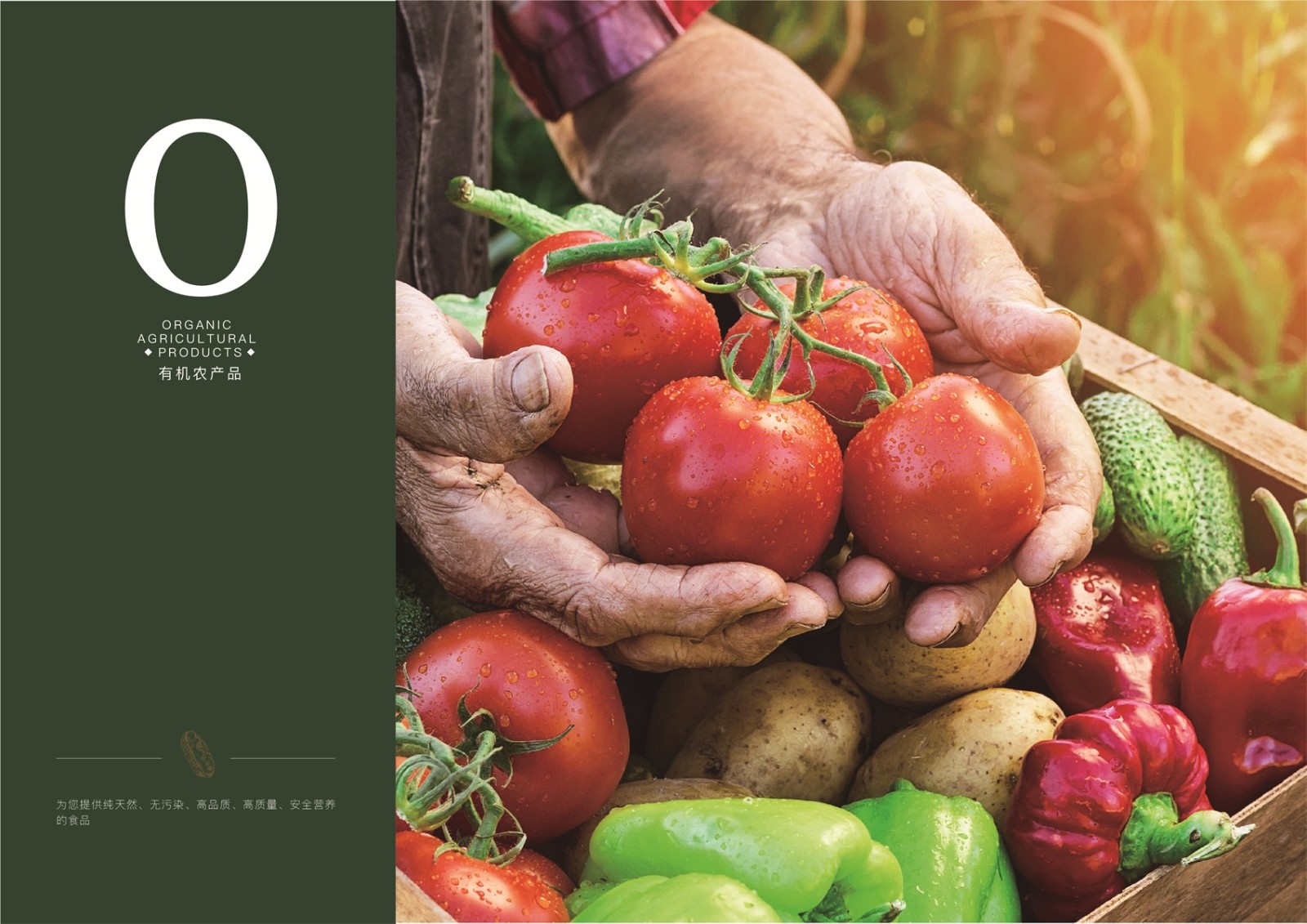 富硒农产品生产技术规范（富硒农产品标准申报）-硒宝网