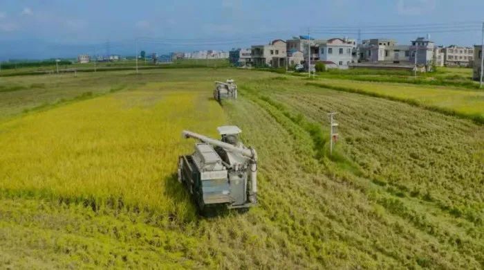 富硒农产品认证标准是啥(富硒农产品认证机构)-硒宝网