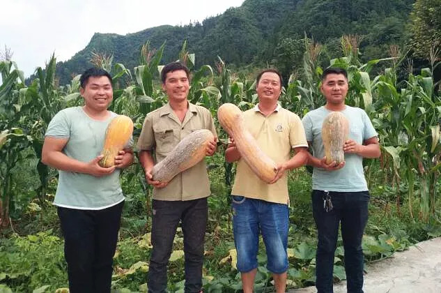 功能性富硒农产品体验店（富硒功能农业）-硒宝网