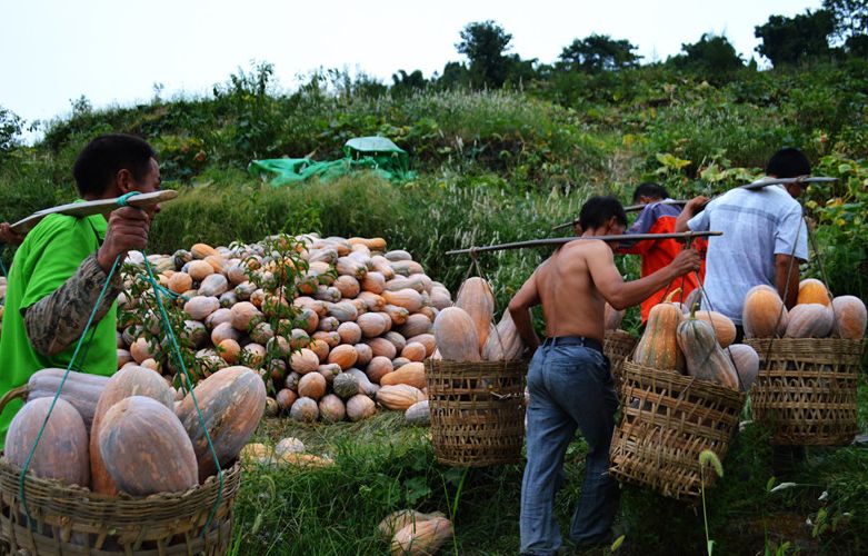 功能性富硒农产品体验店（富硒功能农业）-硒宝网