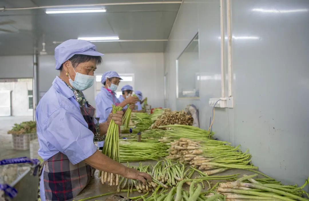 于都县富硒农产品有哪些（于都富硒产业发展中心）-硒宝网