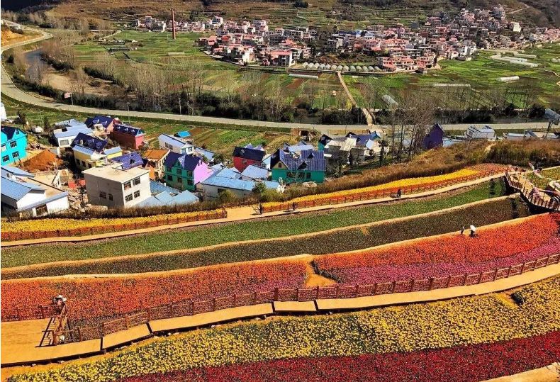 围绕富硒农副产品的品牌（富硒农产品销售模式）-硒宝网