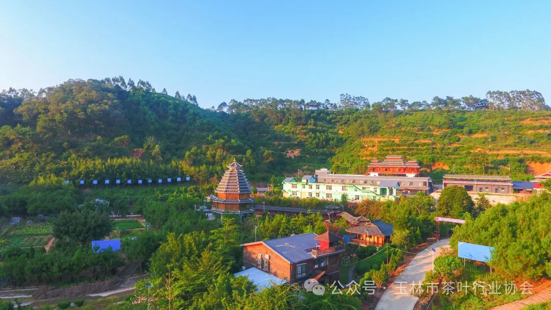 玉林市富硒产品有多少个(广西富硒农产品)-硒宝网