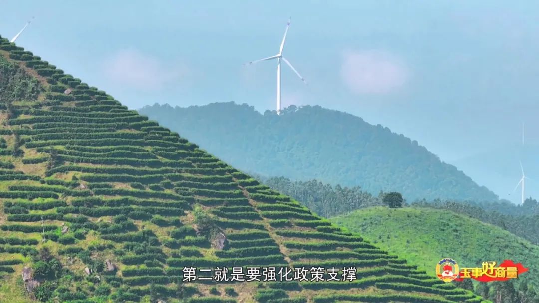 玉林市富硒产品有多少个（广西富硒食品）-硒宝网