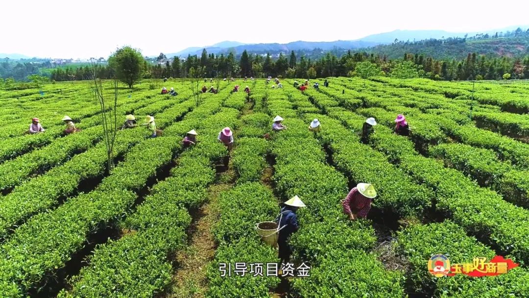 玉林市富硒产品有多少个（广西富硒食品）-硒宝网