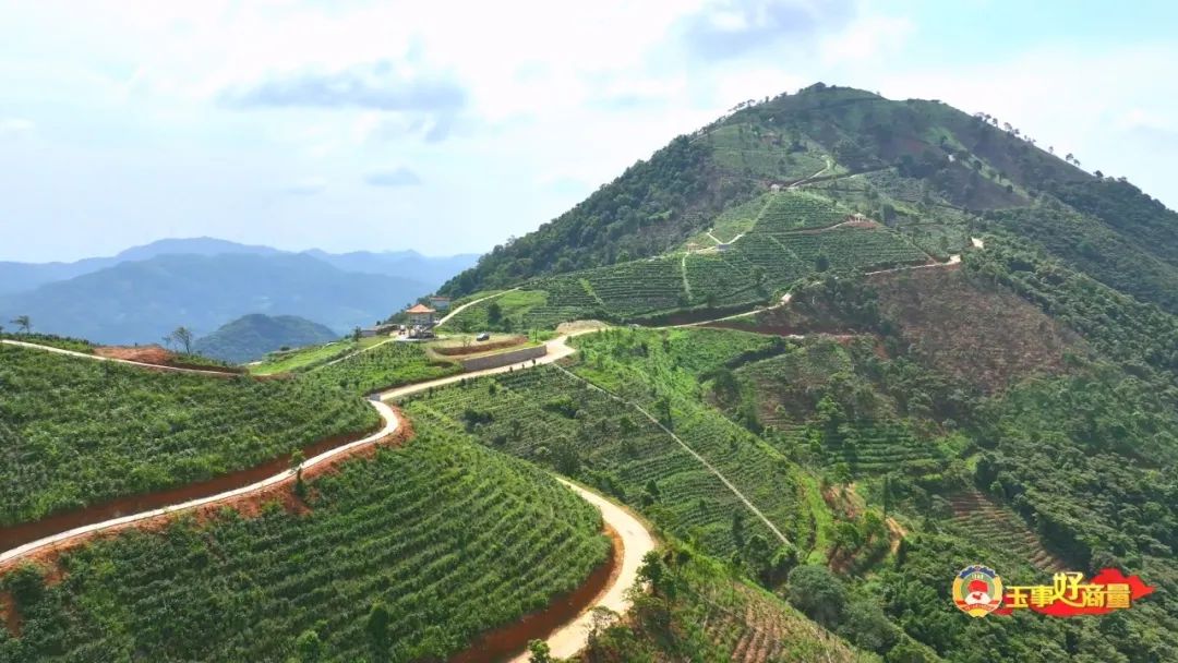 玉林市富硒产品有多少个（广西富硒食品）-硒宝网