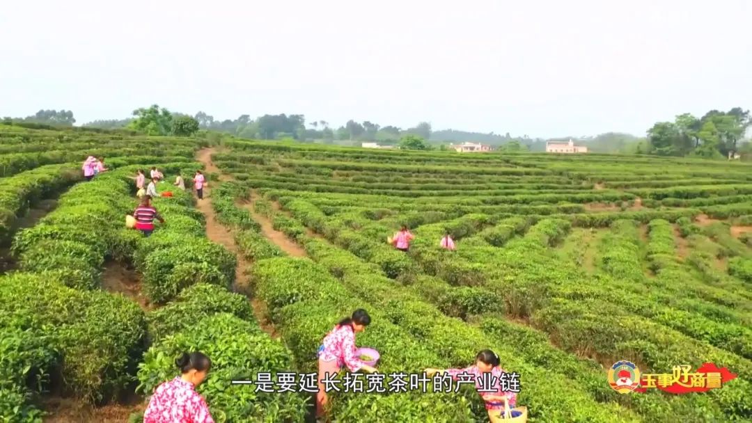 玉林市富硒产品有多少个（广西富硒食品）-硒宝网