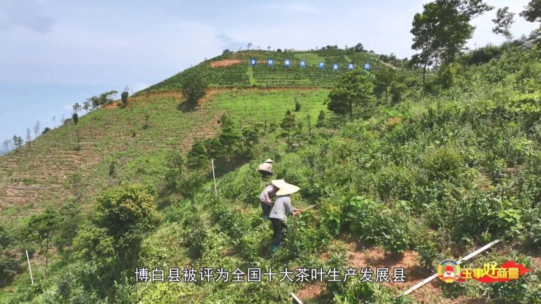 玉林市富硒产品有多少个（广西富硒食品）-硒宝网