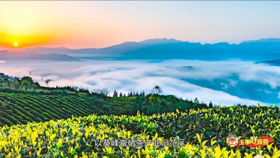 玉林市富硒产品有多少个（广西富硒食品）-硒宝网