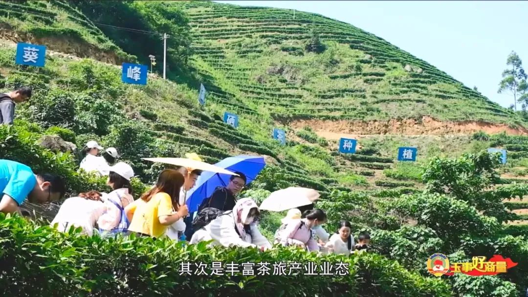 玉林市富硒产品有多少个（广西富硒食品）-硒宝网