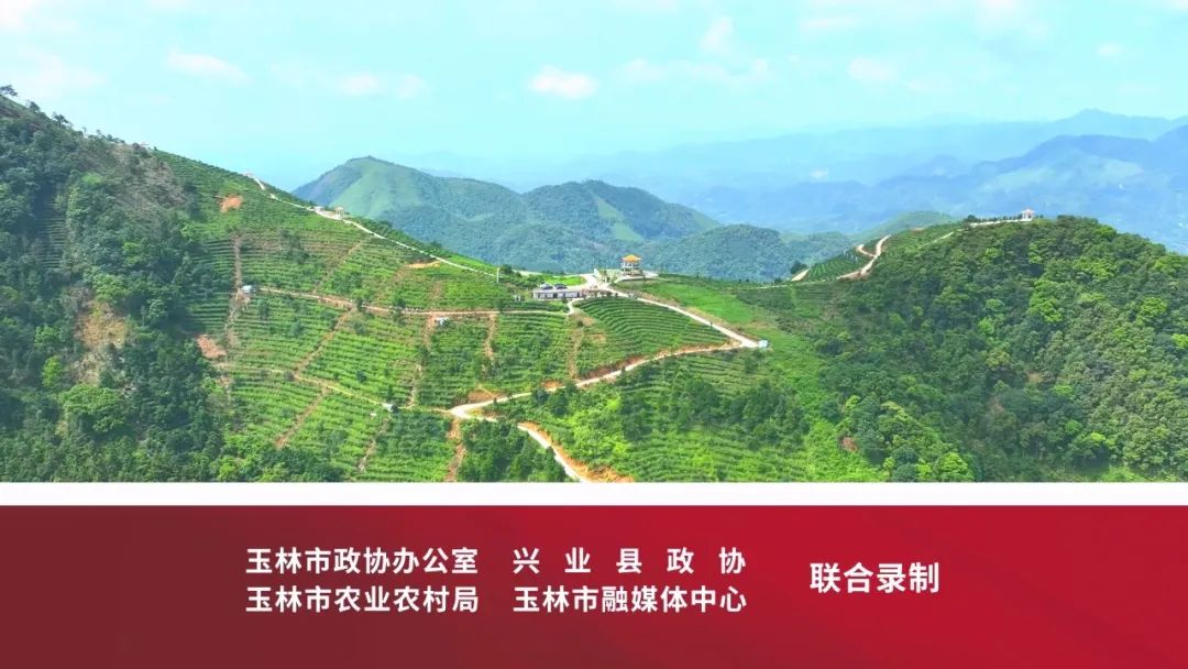 玉林市富硒产品有多少个（广西富硒食品）-硒宝网