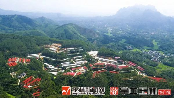 玉林市富硒产品有多少个（玉林市富硒产品有哪些）-硒宝网