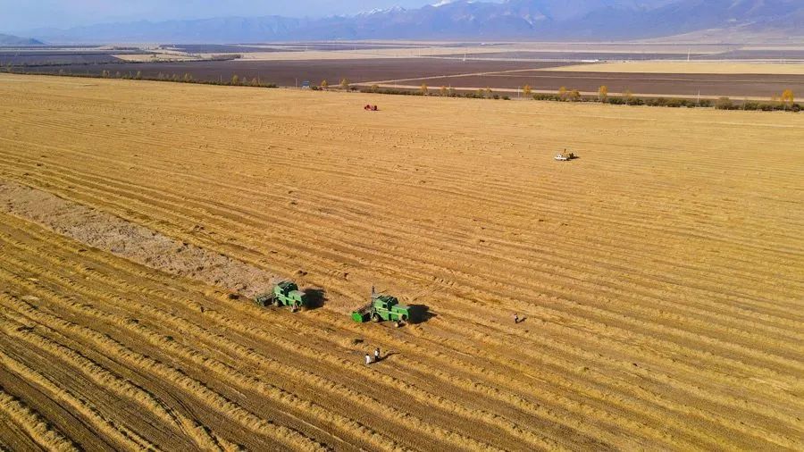 富硒农产品项目自查报告(富硒农产品项目计划书)-硒宝网