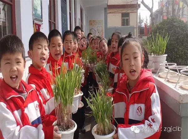 富硒农产品项目自查报告(富硒农产品认证机构)-硒宝网