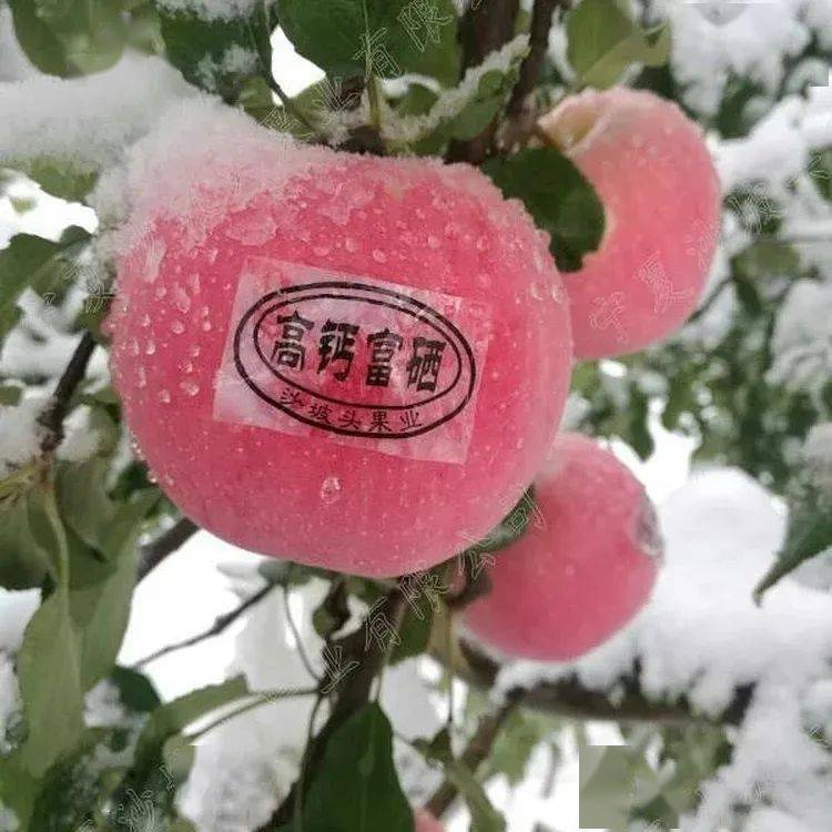 有机富硒农产品认证标志(国家富硒农产品认证)-硒宝网