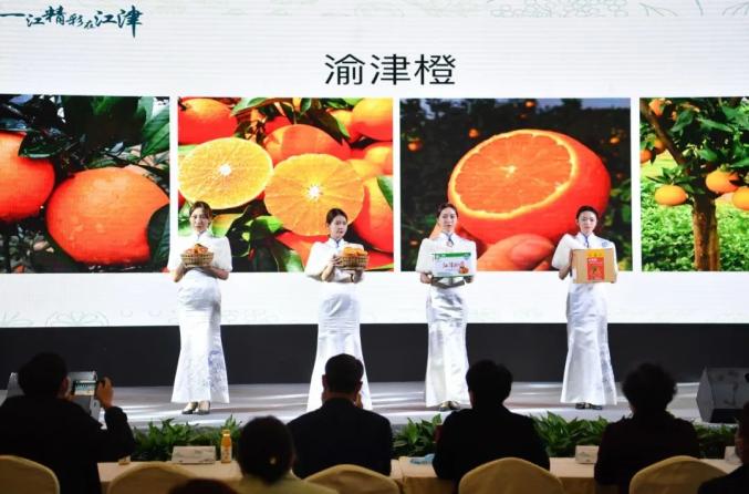 江津十大富硒农产品品牌(江津富硒茶叶介绍)-硒宝网