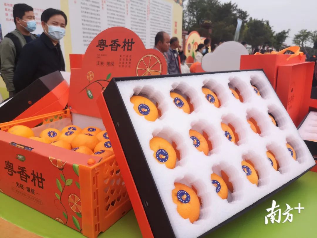 富硒产品推介会现场直播(富硒推广)-硒宝网