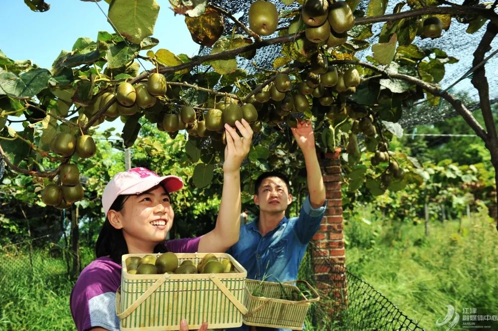 江津十大富硒农产品品牌（江津富硒食品）-硒宝网