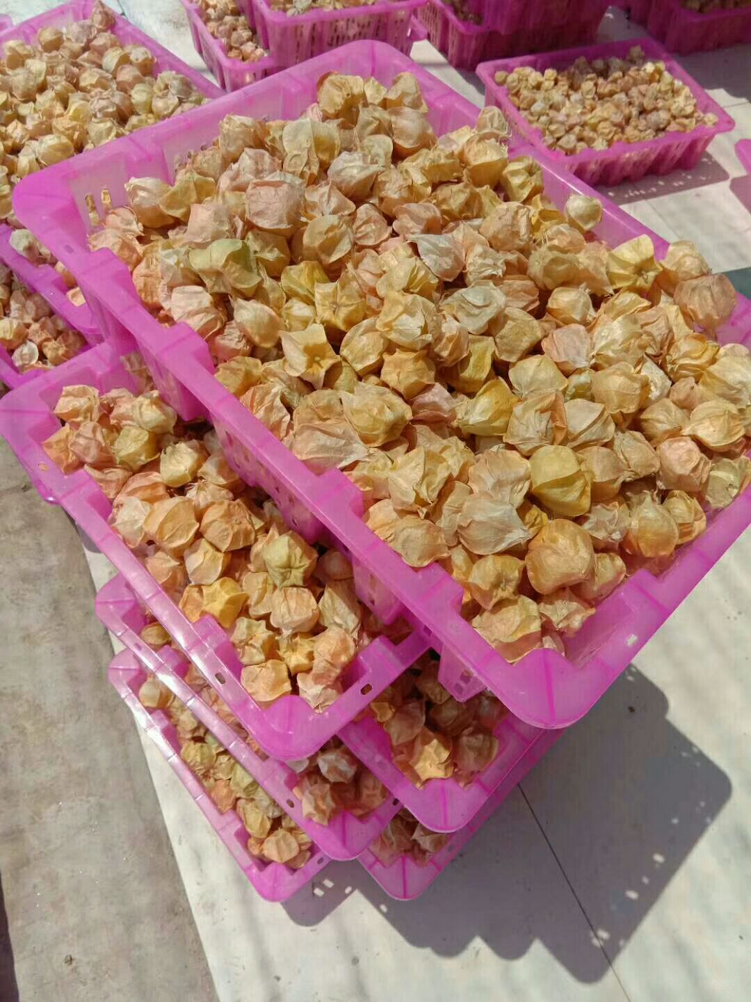 黑龙江省海伦市富硒产品(海伦富硒米多少钱一斤)-硒宝网