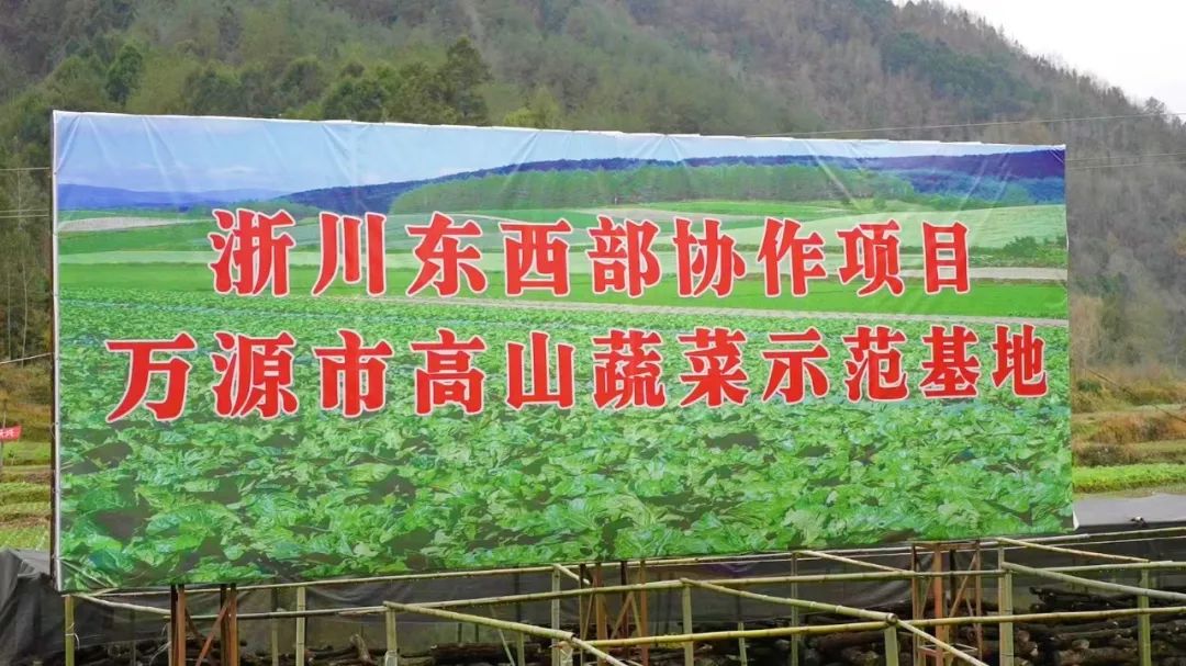 四川省富硒产品种植基地（四川富硒茶分布）-硒宝网