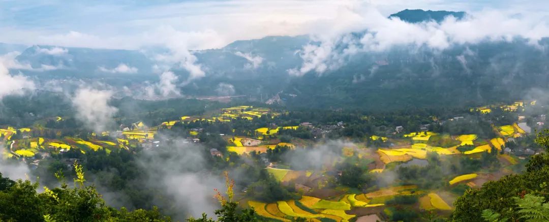 四川省富硒产品种植基地（种植四川基地省富硒产品有哪些）-硒宝网