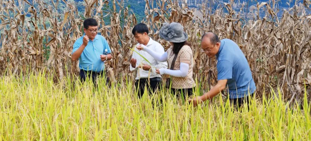 四川省富硒产品种植基地（种植四川基地省富硒产品有哪些）-硒宝网