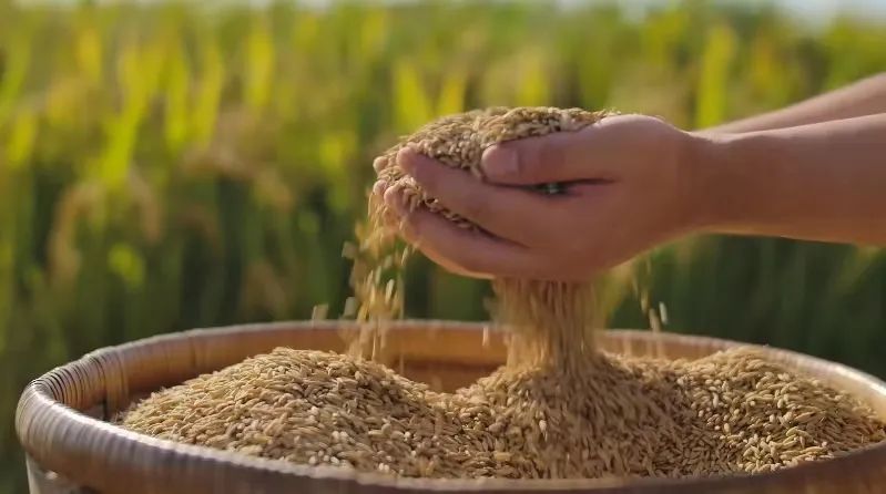 四川省富硒产品种植基地（种植四川基地省富硒产品有哪些）-硒宝网