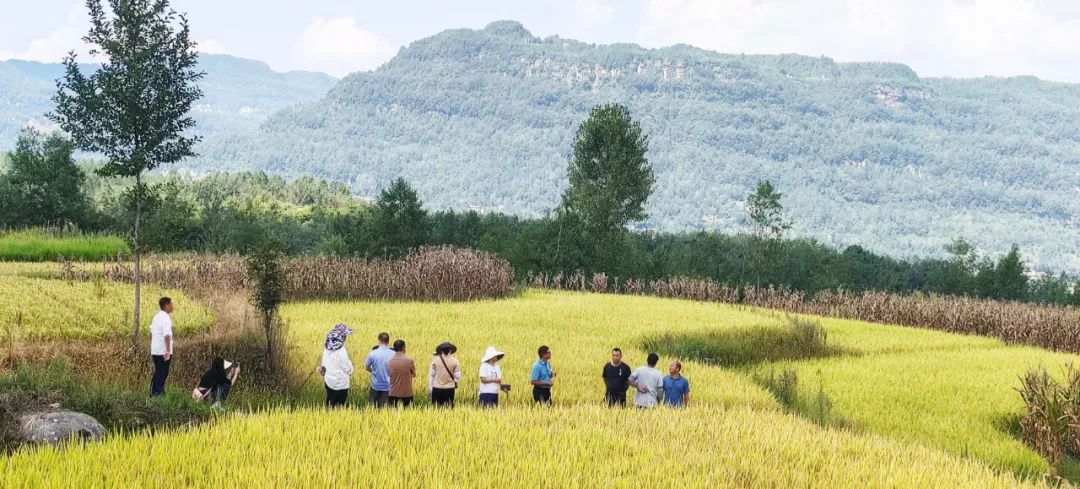 四川省富硒产品种植基地（种植四川基地省富硒产品有哪些）-硒宝网