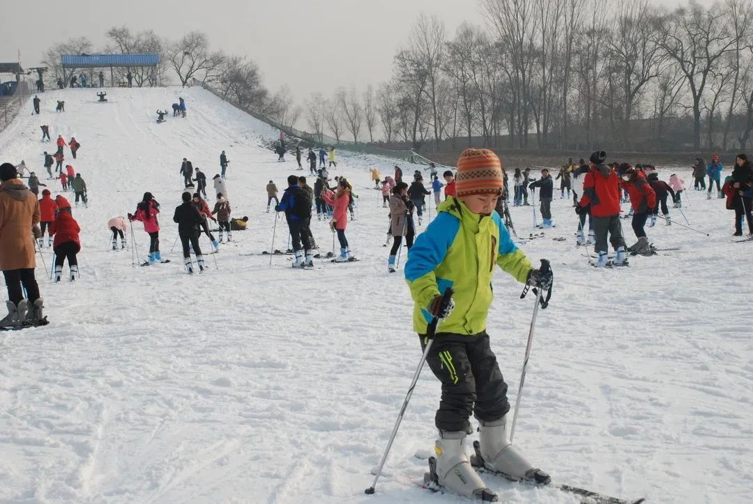 河北省抚宁县富硒农产品（河北富硒地瓜在哪里）-硒宝网