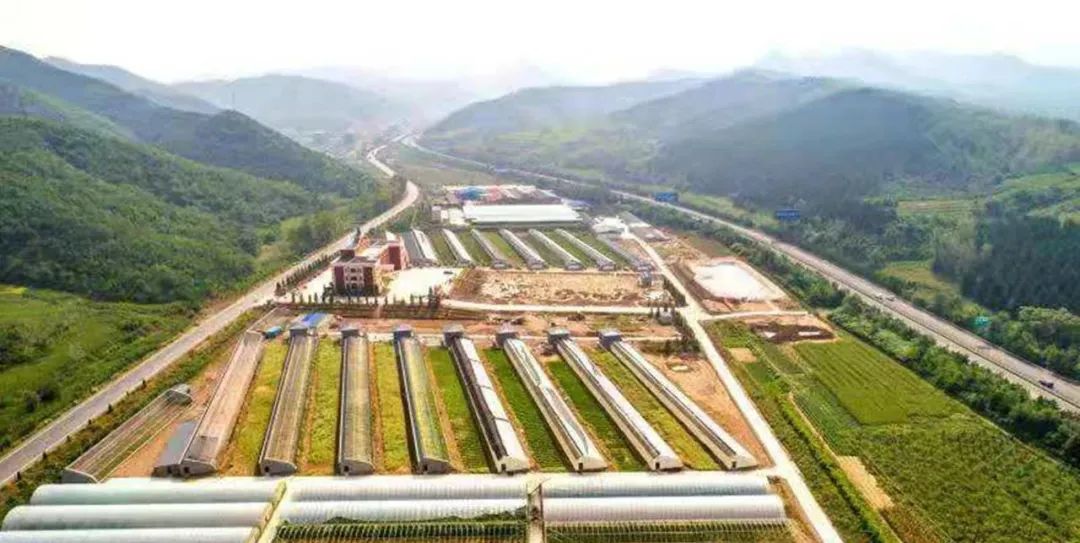 河北省抚宁县富硒农产品（河北富硒地瓜在哪里）-硒宝网