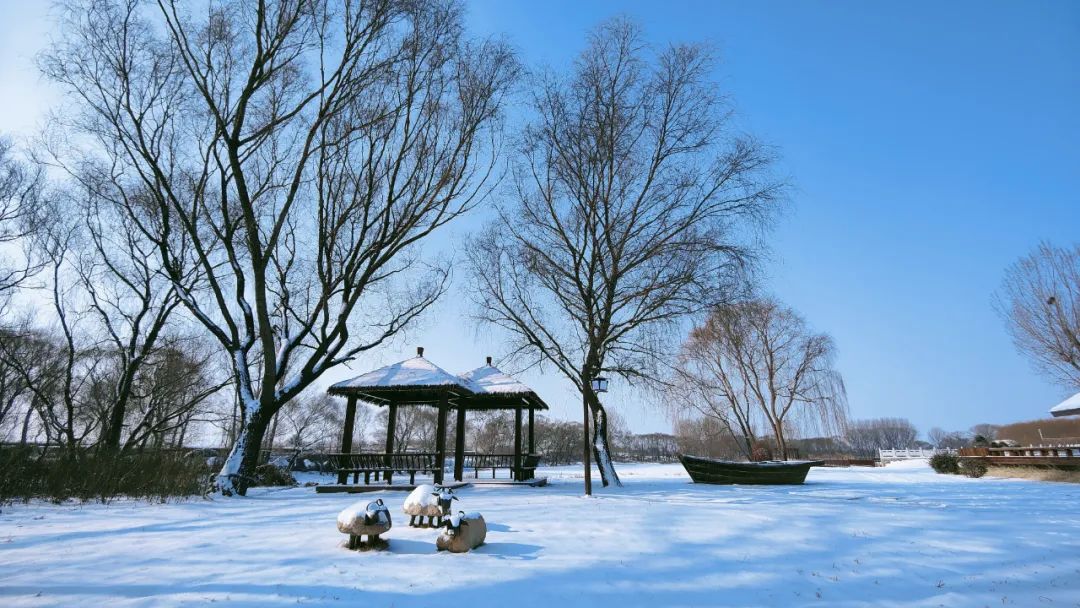 河北省抚宁县富硒农产品（河北富硒地瓜在哪里）-硒宝网