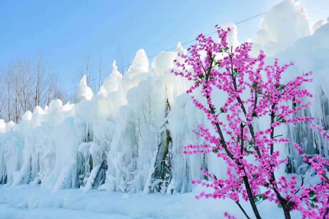 河北省抚宁县富硒农产品（河北富硒地瓜在哪里）-硒宝网