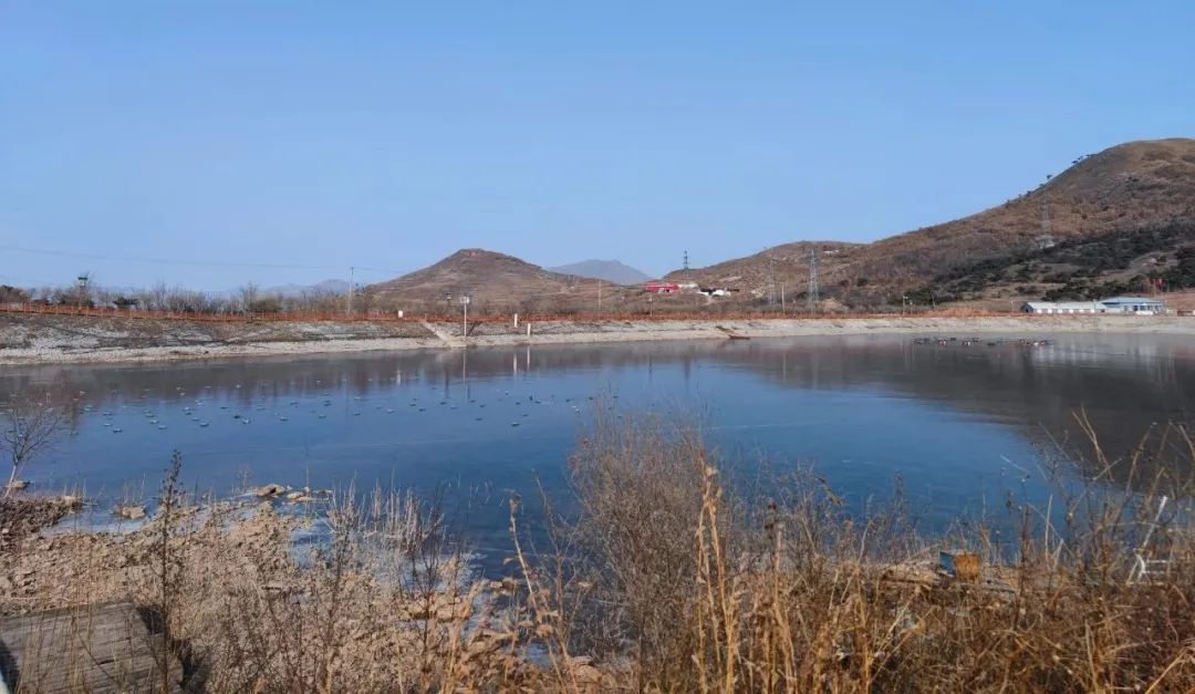 河北省抚宁县富硒农产品（河北富硒地瓜在哪里）-硒宝网