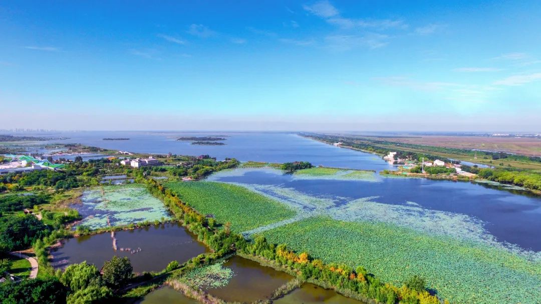 河北省抚宁县富硒农产品（河北富硒地瓜在哪里）-硒宝网