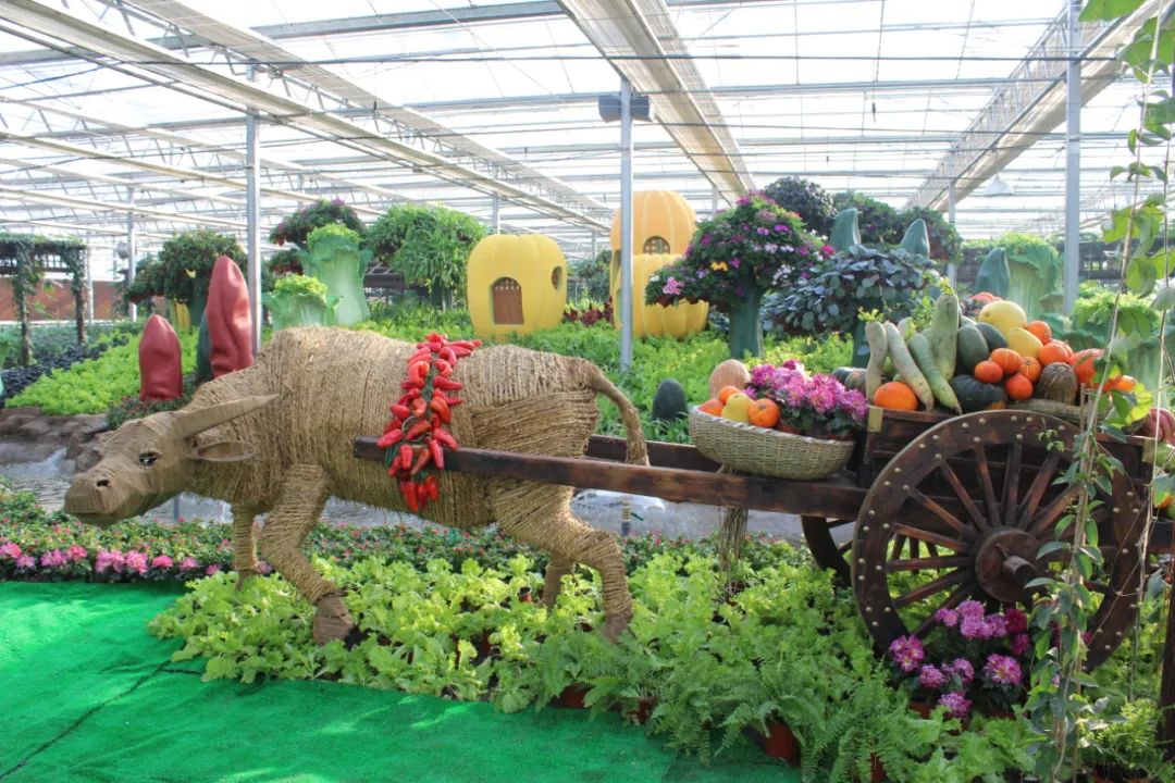 河北省抚宁县富硒农产品（河北富硒地瓜在哪里）-硒宝网