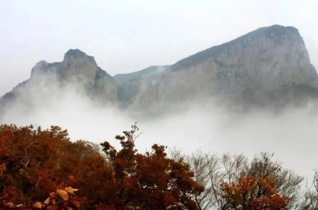 河北省抚宁县富硒农产品（河北富硒地瓜在哪里）-硒宝网