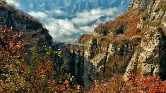 河北省抚宁县富硒农产品（河北富硒地瓜在哪里）-硒宝网