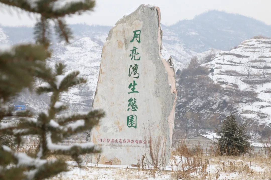 河北省抚宁县富硒农产品（河北富硒地瓜在哪里）-硒宝网