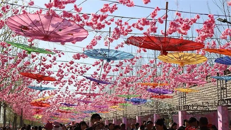 河北省抚宁县富硒农产品（河北富硒地瓜在哪里）-硒宝网